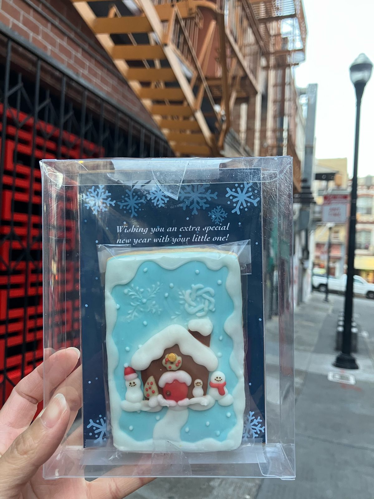 Winter house cookie